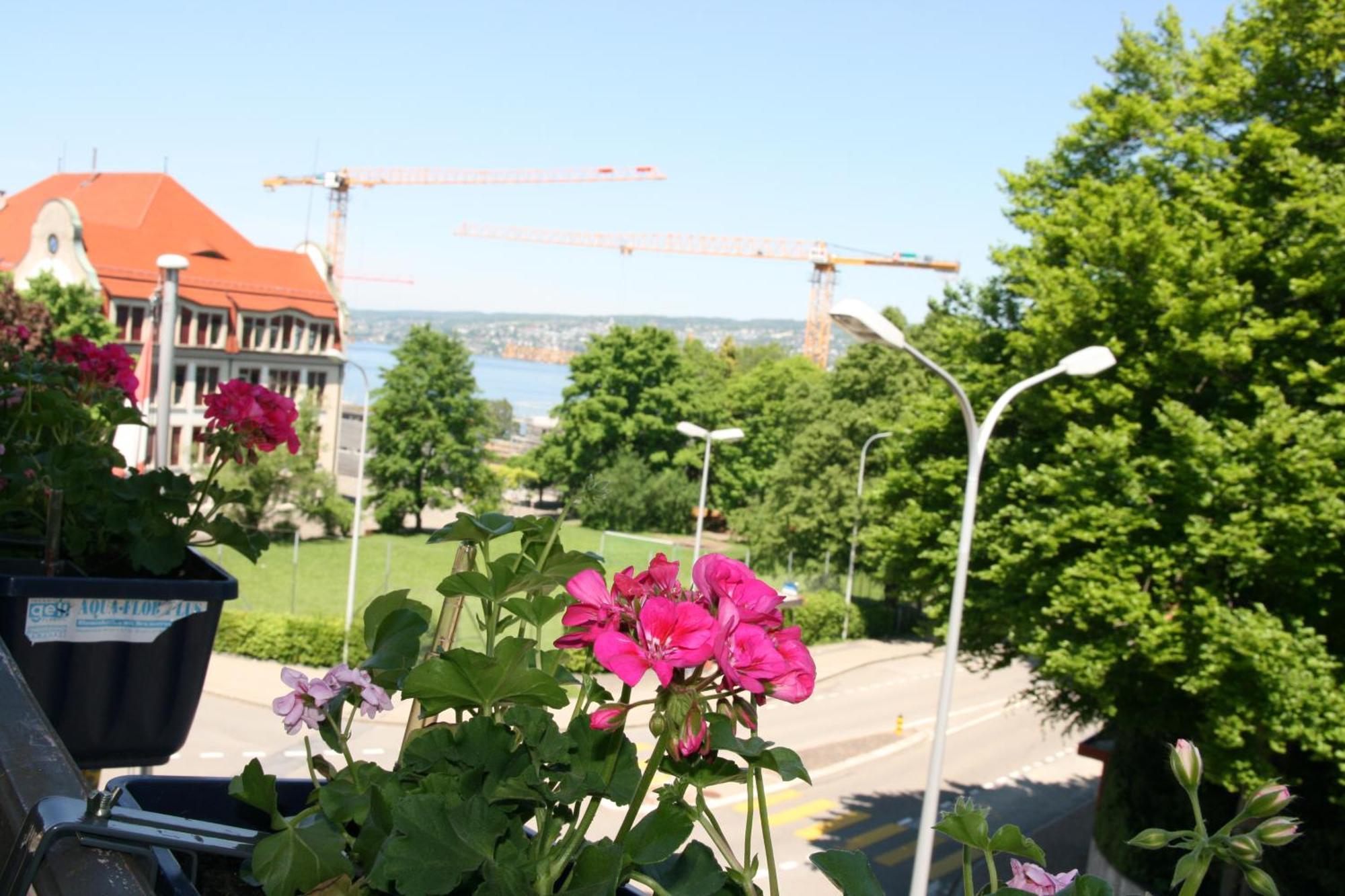 Hotel Glaernisch Hof Horgen Zewnętrze zdjęcie