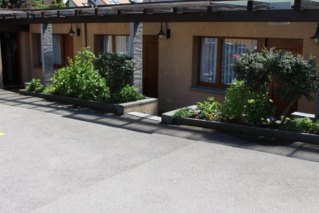 Hotel Glaernisch Hof Horgen Pokój zdjęcie